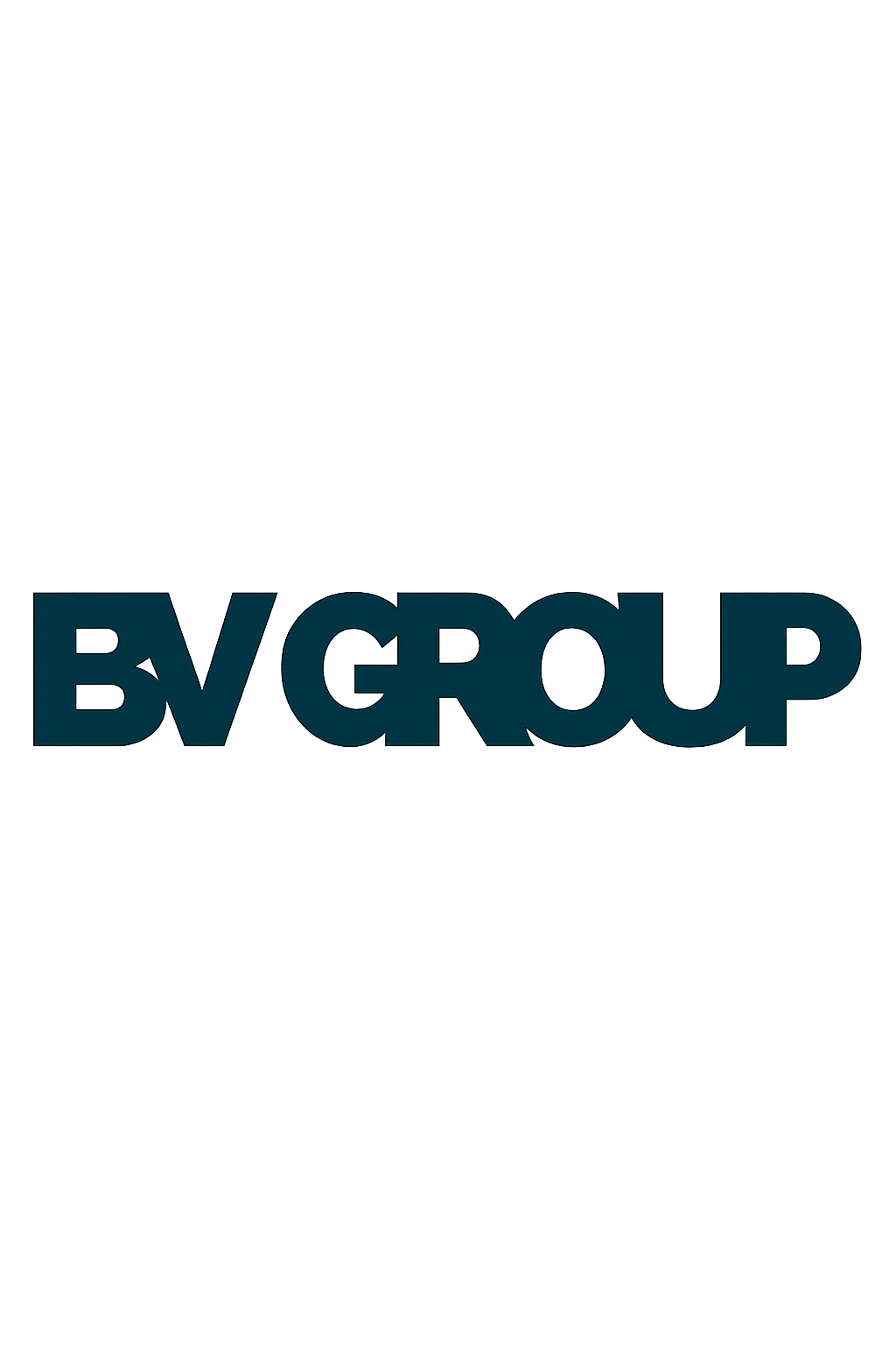 BV Group logo